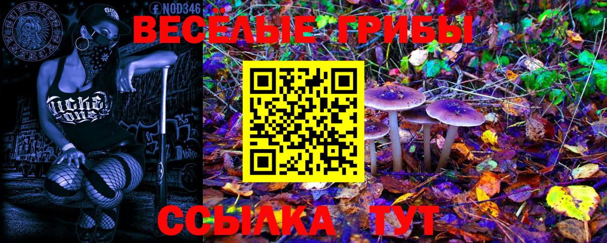 Псилоцибиновые грибы Magic Shrooms  Вход с VPN  Псилоцибиновые грибы прущие грибы  как найти   Ишимбай 